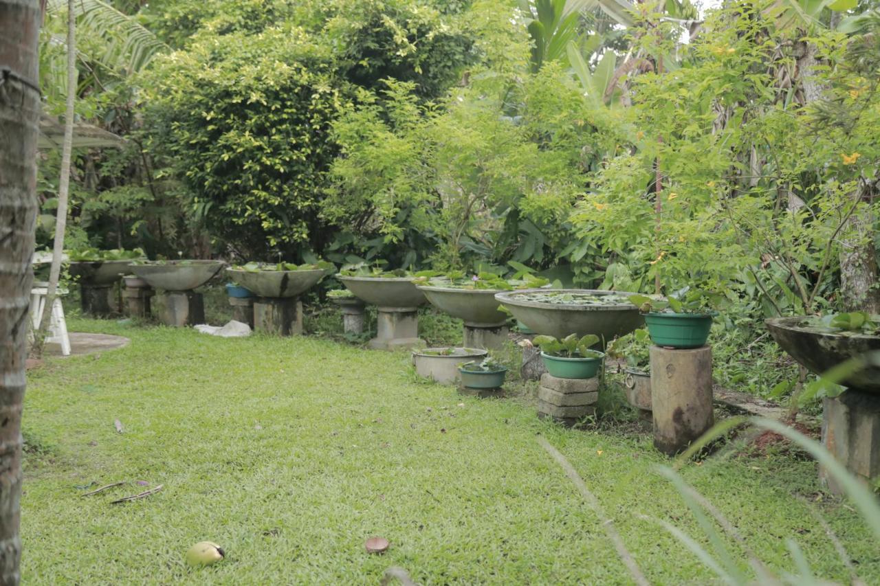 Kirala Villa Mihiripenne 외부 사진