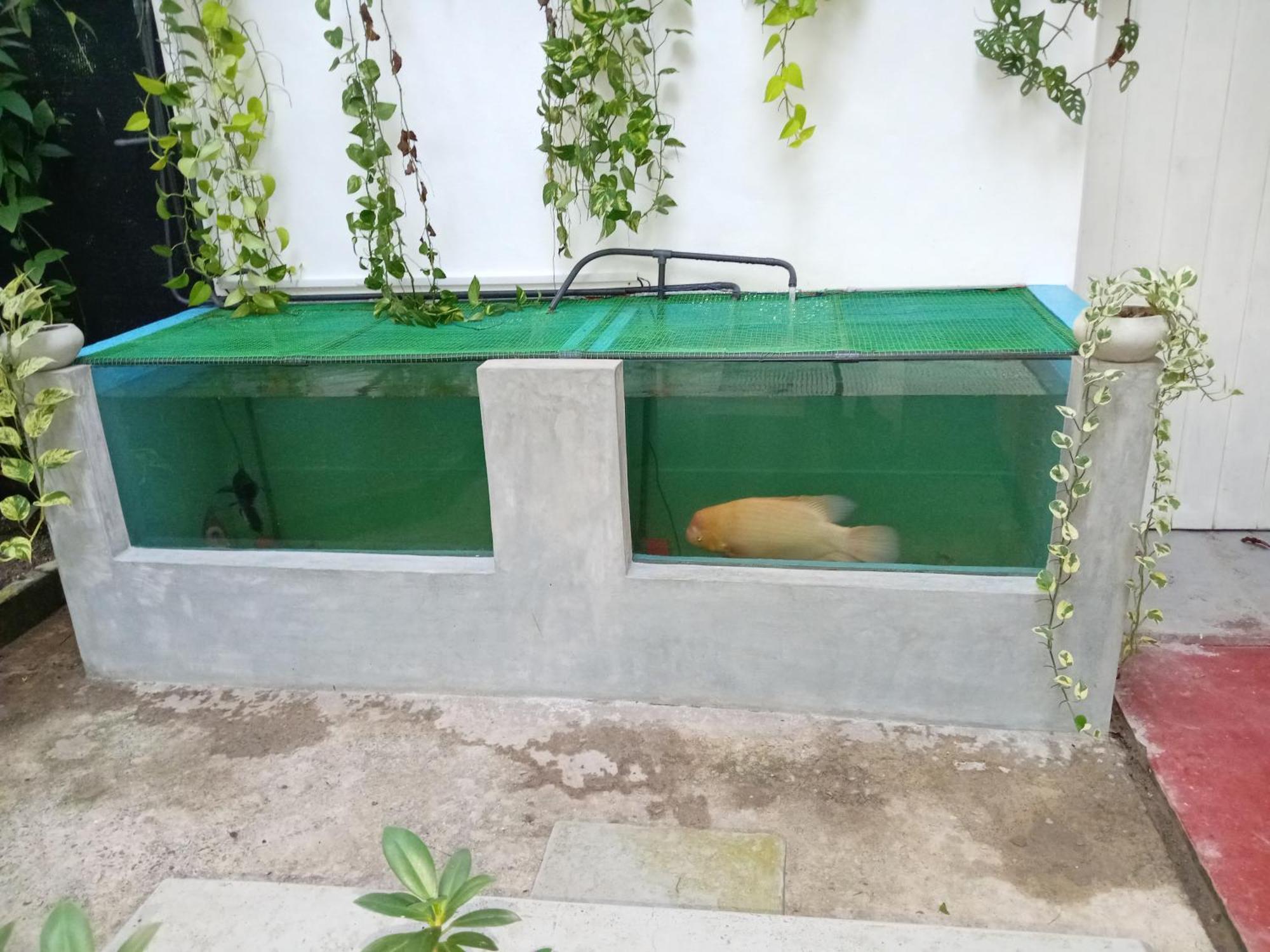 Kirala Villa Mihiripenne 외부 사진